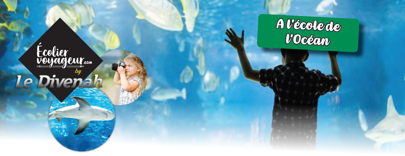 oceanopolis de brest