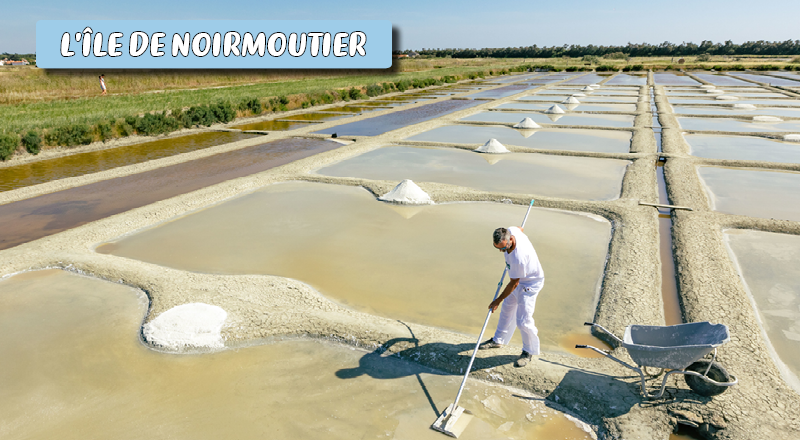 classe de voile à noirmoutier