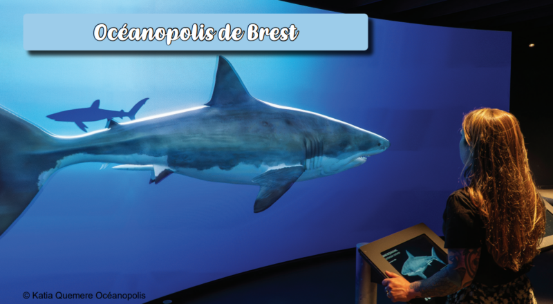 oceanopolis