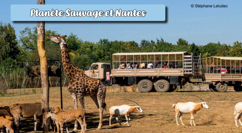planete sauvage et nantes